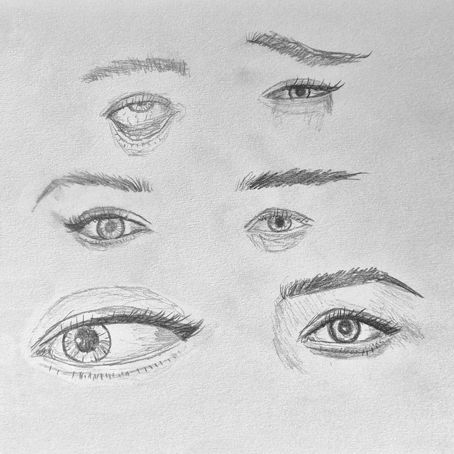 A sheet of six eye studies, each with a different brow and lash line.
