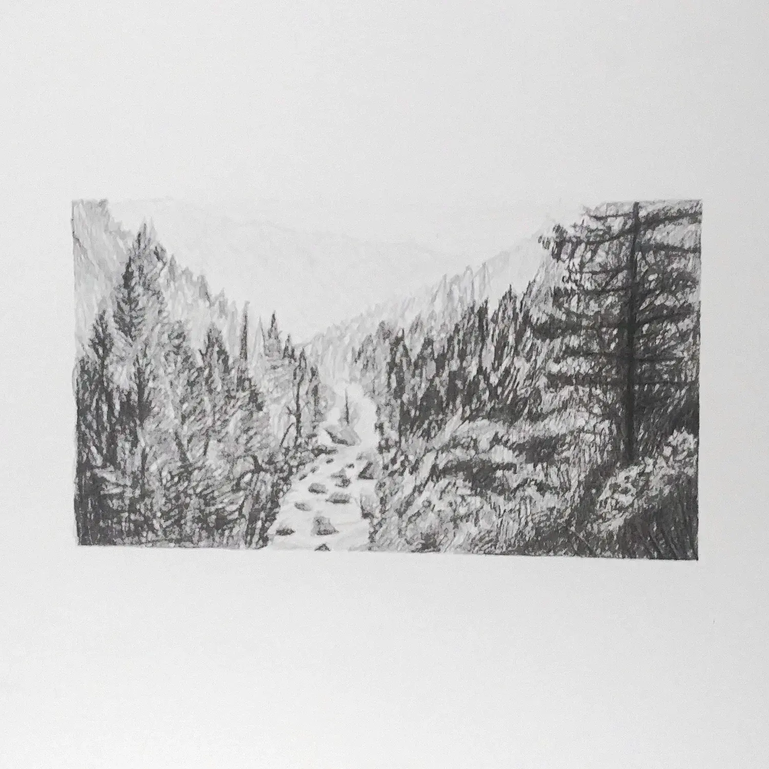 A wooded mountain ravine with a stream running through it.