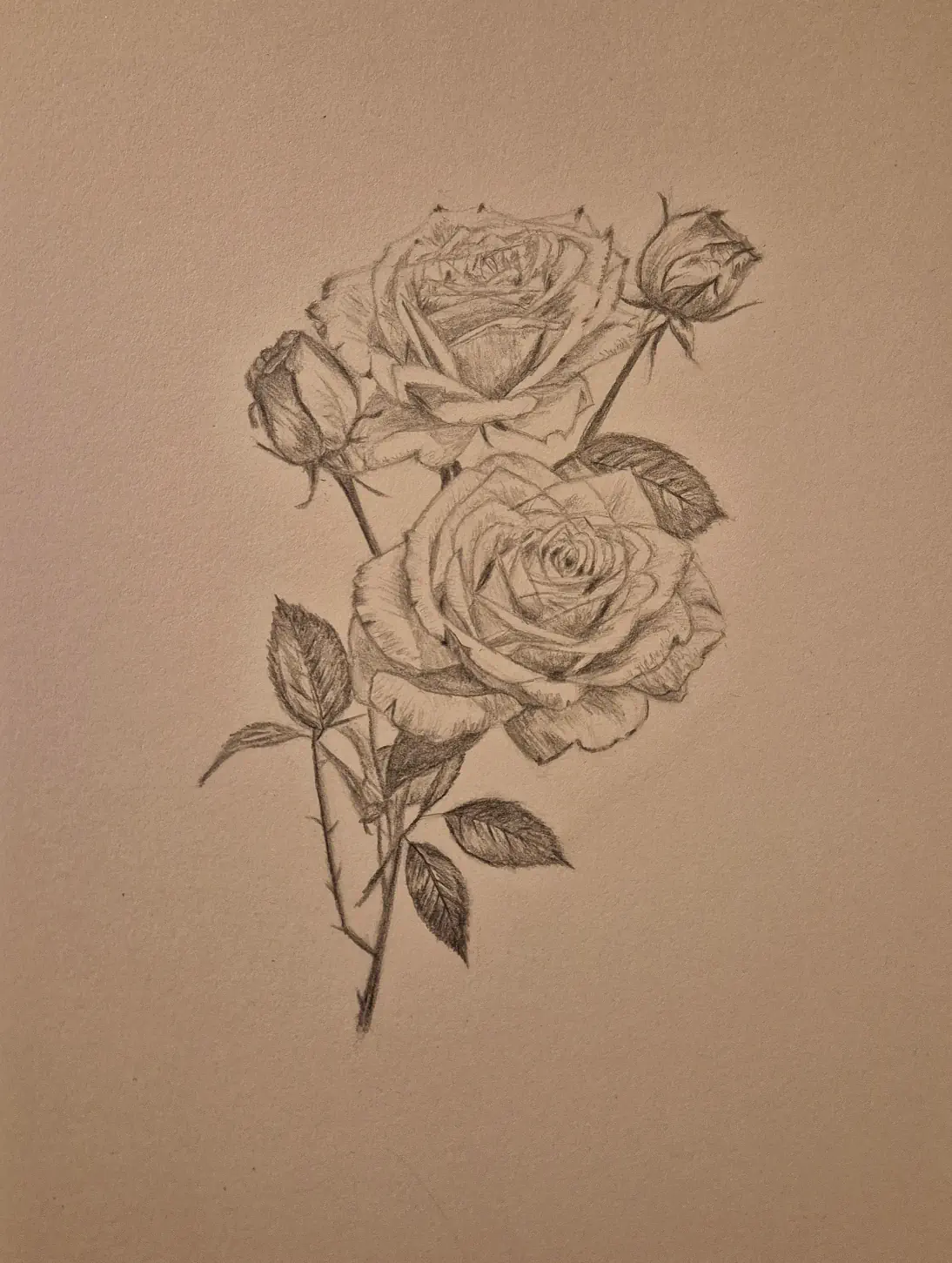Arrangement of two roses